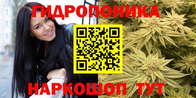ECSTASY Будённовск