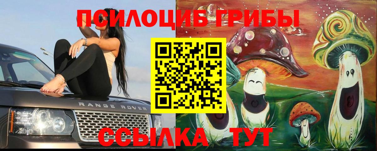 Псилоцибиновые грибы MAGIC MUSHROOMS  сколько стоит  Бутурлиновка  Вход с VPN 